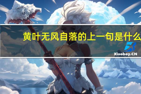 黄叶无风自落的上一句是什么