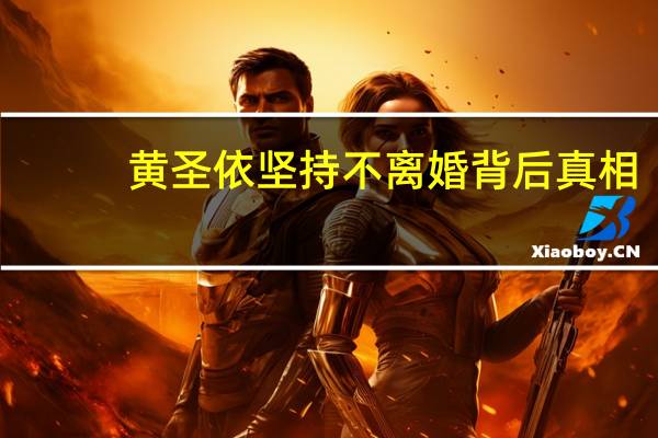 黄圣依坚持不离婚背后真相：爱情还是利益的纠葛？