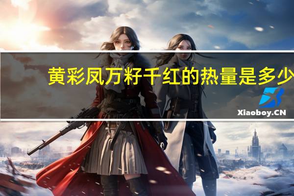 黄彩凤 万籽千红的热量是多少