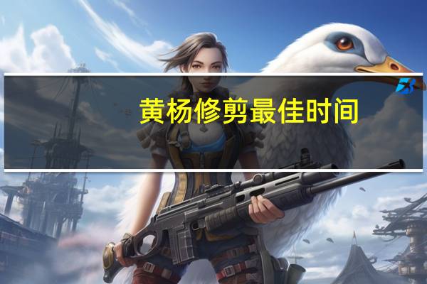 黄杨修剪最佳时间