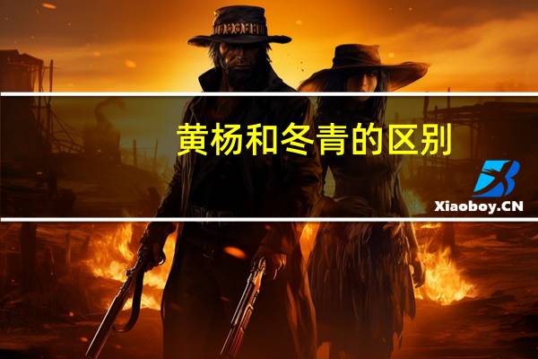 黄杨和冬青的区别