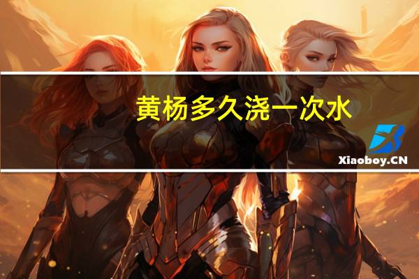 黄杨多久浇一次水