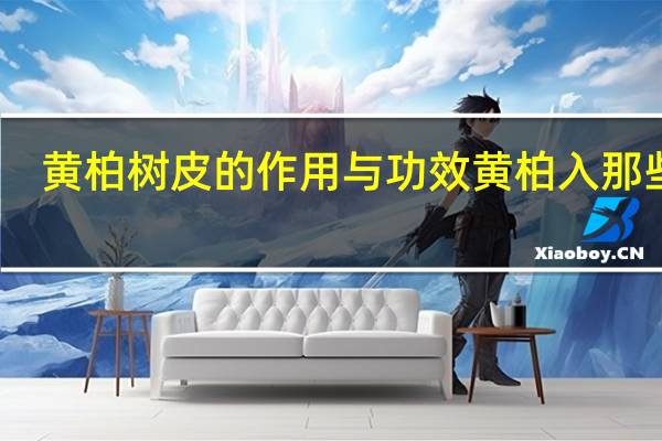 黄柏树皮的作用与功效黄柏入那些经（黄柏树皮的作用与功效）