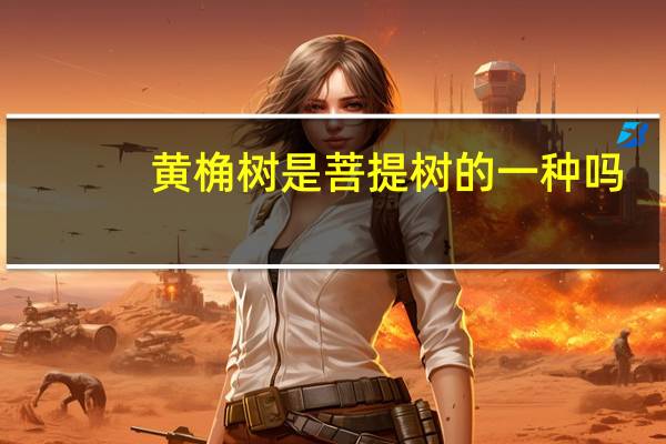 黄桷树是菩提树的一种吗
