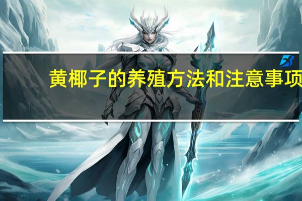 黄椰子的养殖方法和注意事项