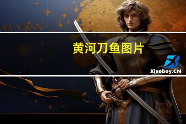 黄河刀鱼图片(黄河鱽鱼)