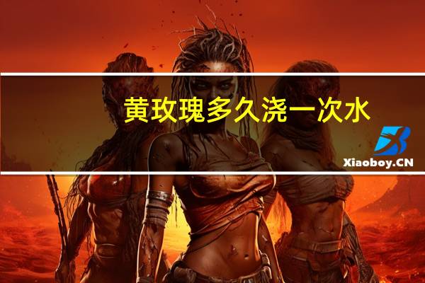 黄玫瑰多久浇一次水