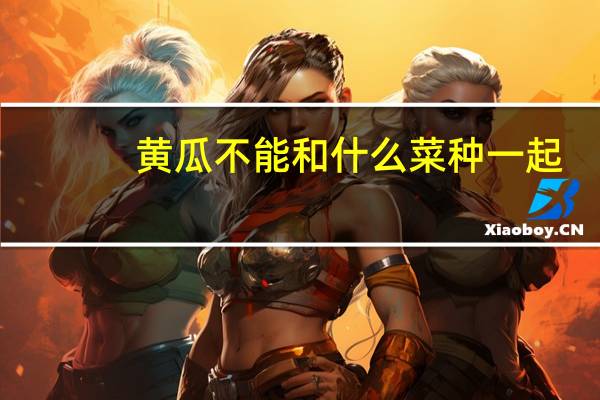 黄瓜不能和什么菜种一起