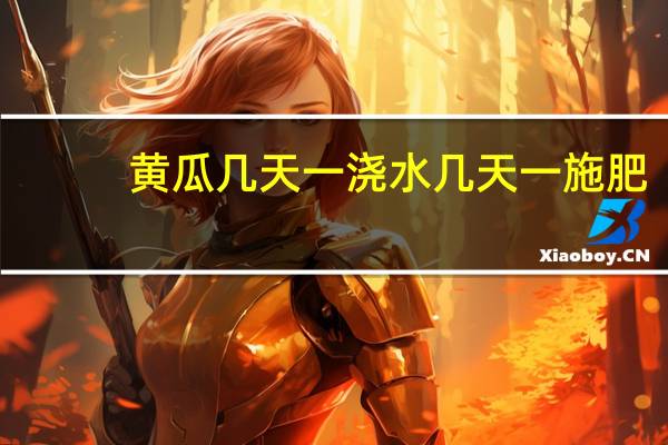 黄瓜几天一浇水几天一施肥