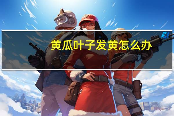 黄瓜叶子发黄怎么办：环境突变也会导致叶子发黄