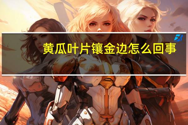 黄瓜叶片镶金边怎么回事