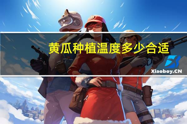 黄瓜种植温度多少合适