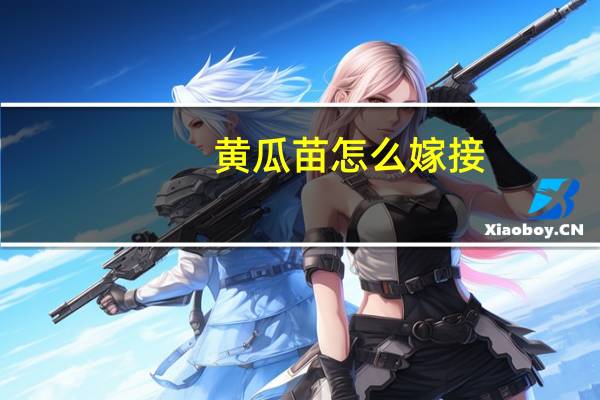黄瓜苗怎么嫁接
