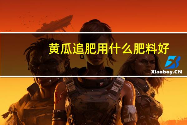 黄瓜追肥用什么肥料好