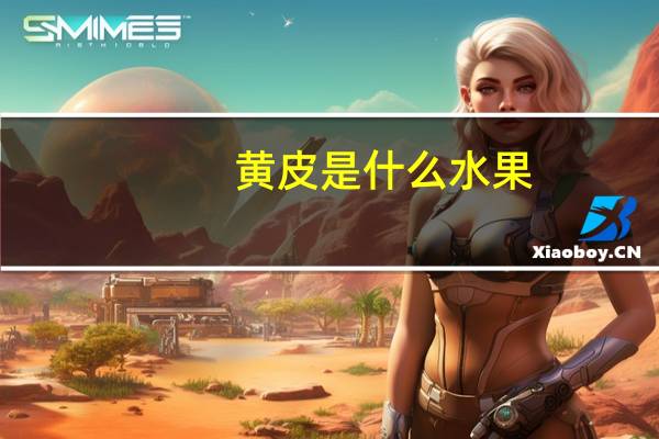 黄皮是什么水果