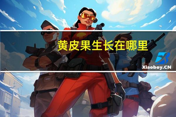 黄皮果生长在哪里