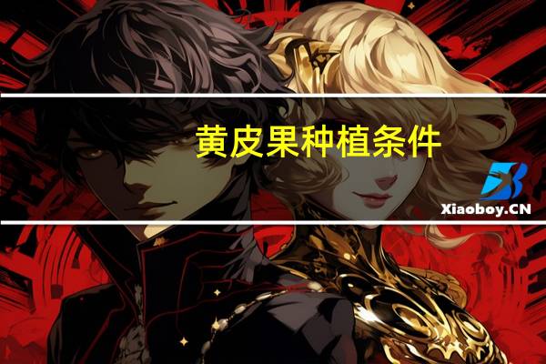 黄皮果种植条件