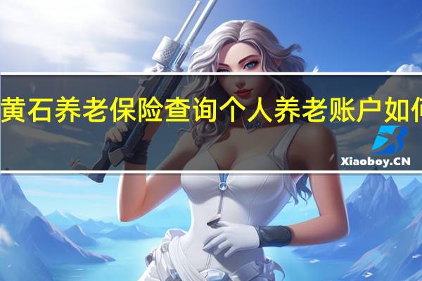 黄石养老保险查询 个人养老账户如何查询