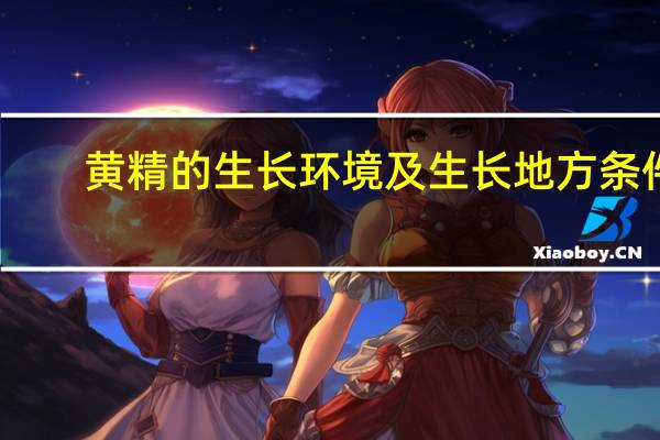 黄精的生长环境及生长地方条件