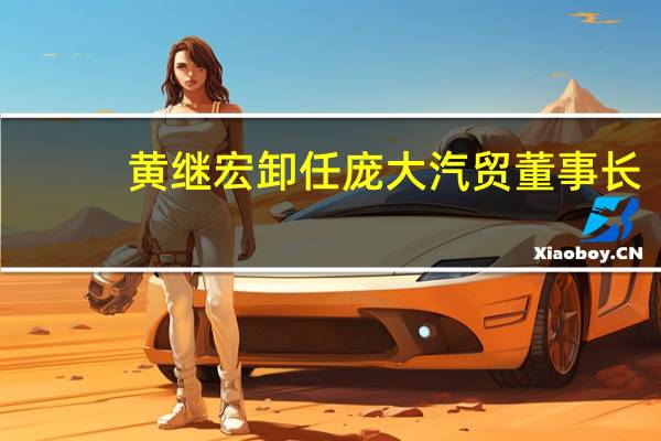 黄继宏卸任庞大汽贸董事长