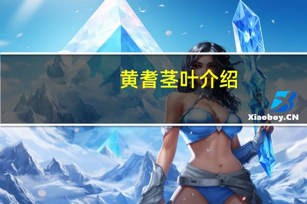 黄耆茎叶介绍