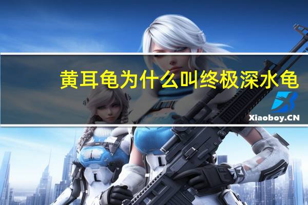 黄耳龟为什么叫终极深水龟(黄耳龟)