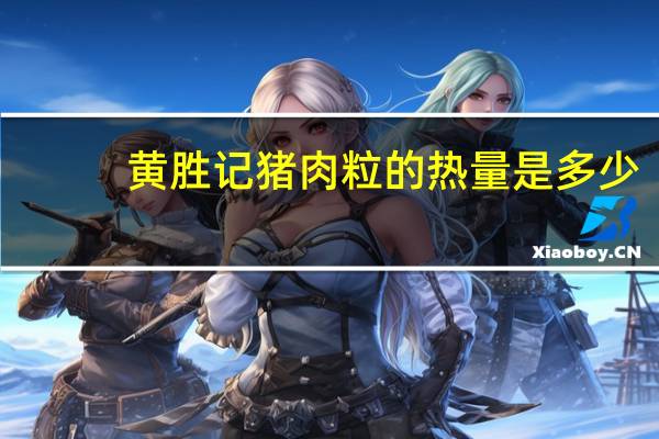 黄胜记 猪肉粒的热量是多少