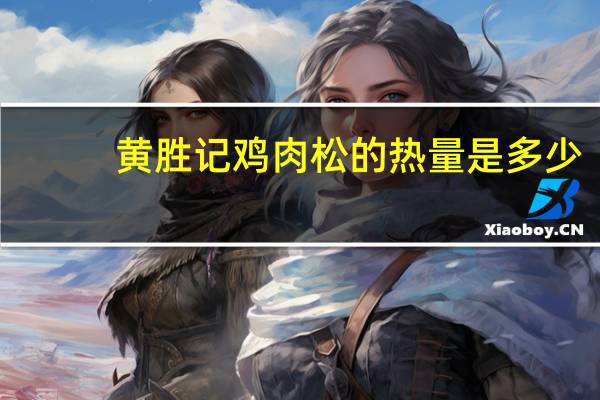 黄胜记 鸡肉松的热量是多少