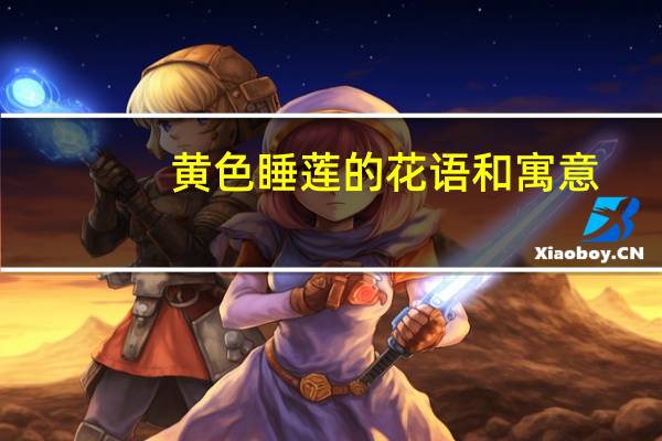 黄色睡莲的花语和寓意