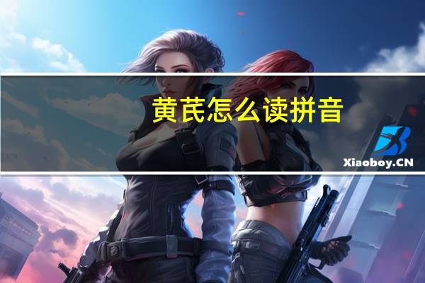 黄芪怎么读拼音（芪怎么读）