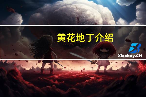 黄花地丁介绍