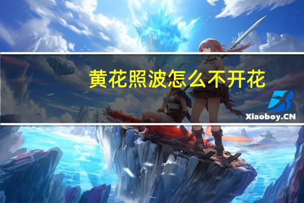 黄花照波怎么不开花