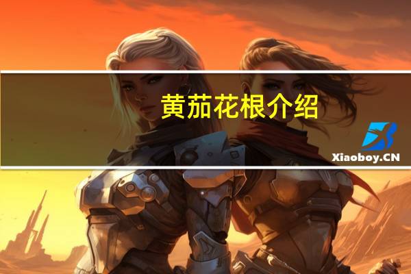 黄茄花根介绍
