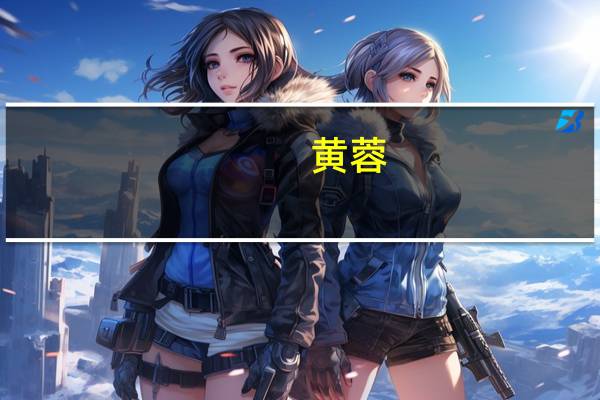 黄蓉（关于黄蓉的介绍）