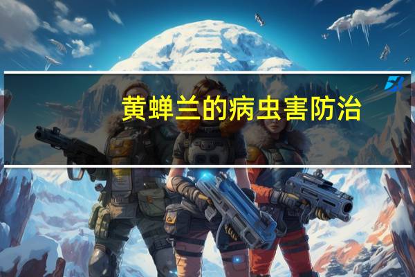 黄蝉兰的病虫害防治