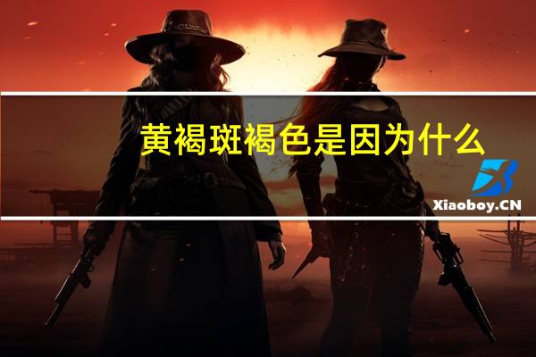 黄褐斑褐色是因为什么，黄褐斑图是什么样的