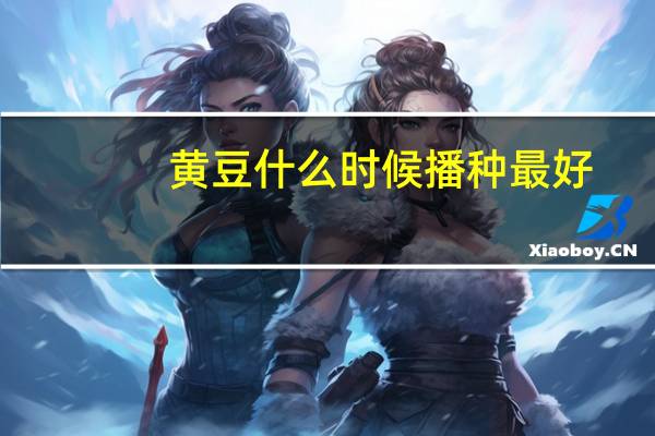 黄豆什么时候播种最好