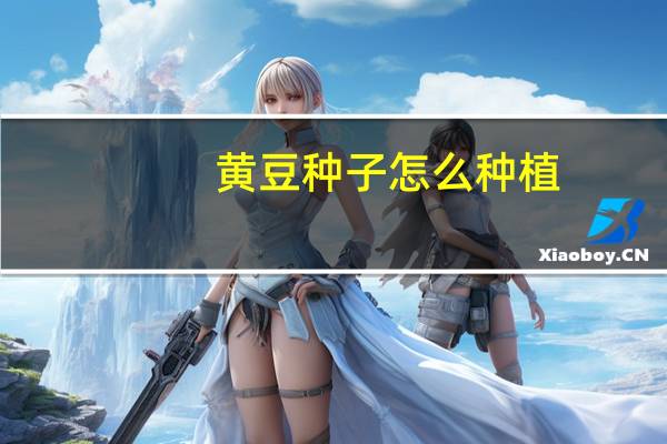 黄豆种子怎么种植