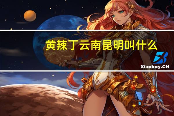 黄辣丁云南昆明叫什么