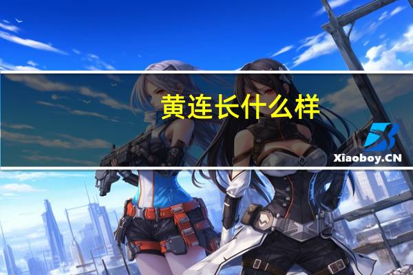 黄连长什么样