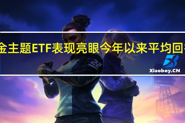 黄金主题ETF表现亮眼今年以来平均回报超13%