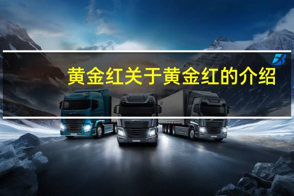 黄金红 关于黄金红的介绍
