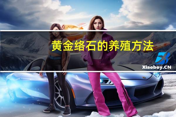 黄金络石的养殖方法