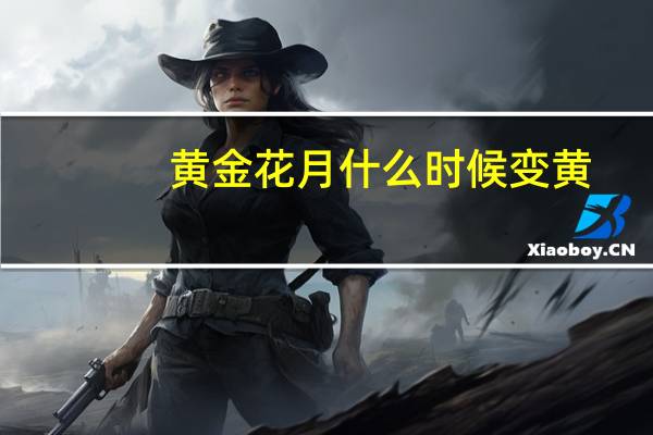 黄金花月什么时候变黄