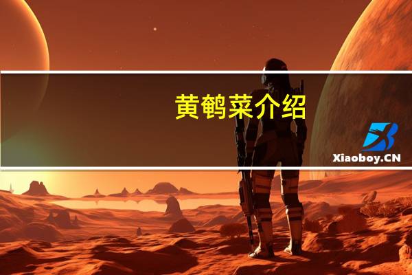 黄鹌菜介绍