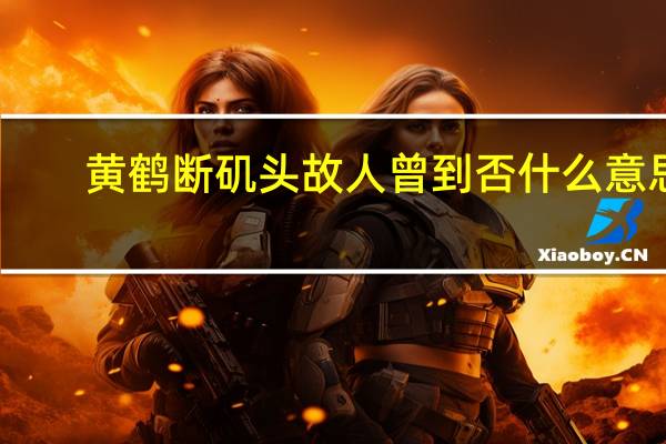 黄鹤断矶头故人曾到否什么意思