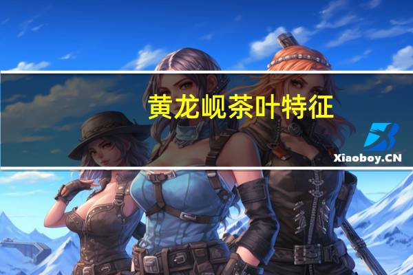 黄龙岘茶叶特征