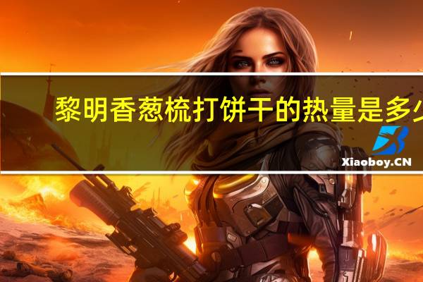 黎明 香葱梳打饼干的热量是多少