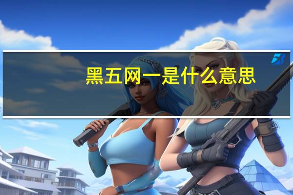 黑五网一是什么意思（黑五仁月饼）