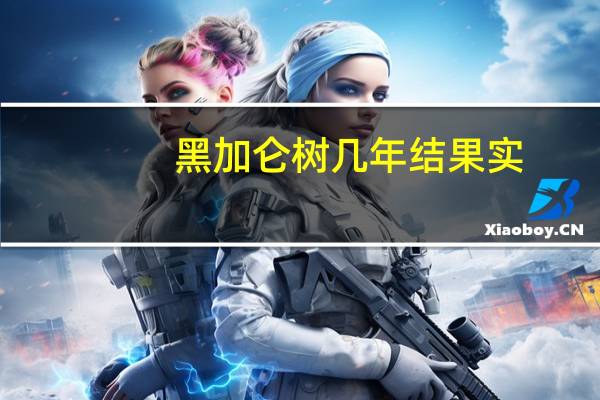 黑加仑树几年结果实